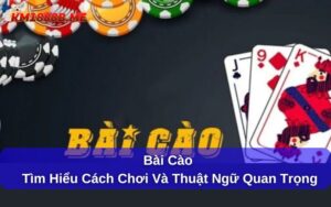 bài cào