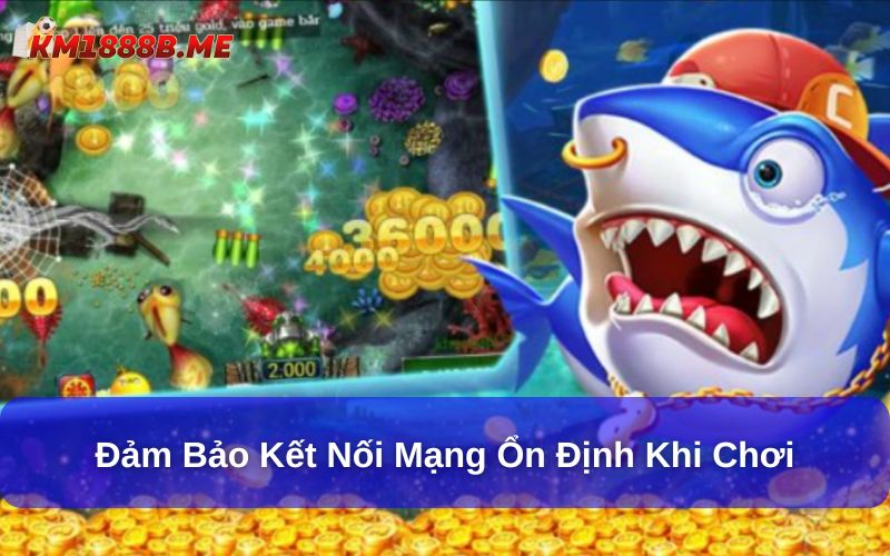 Tìm Hiểu Những Lưu Ý Khi Chơi Game Bắn Cá Online Đảm bảo kết nối mạng ổn định khi chơi